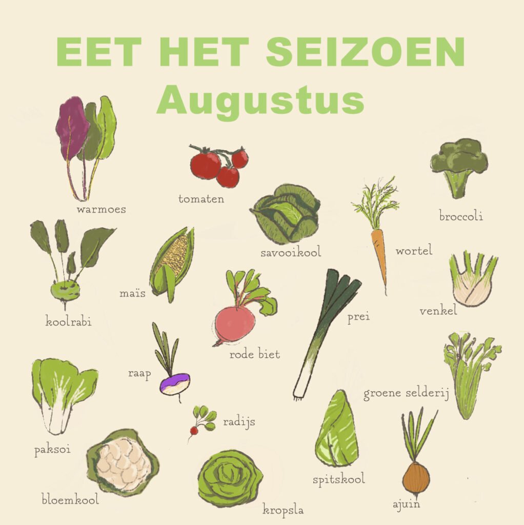 Seizoensgroenten - augustus deel 1