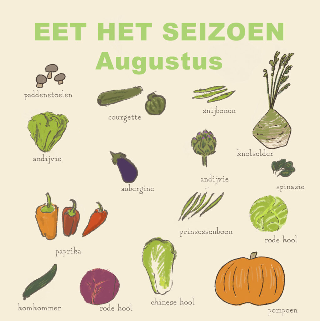 Seizoensgroenten - augustus deel 2