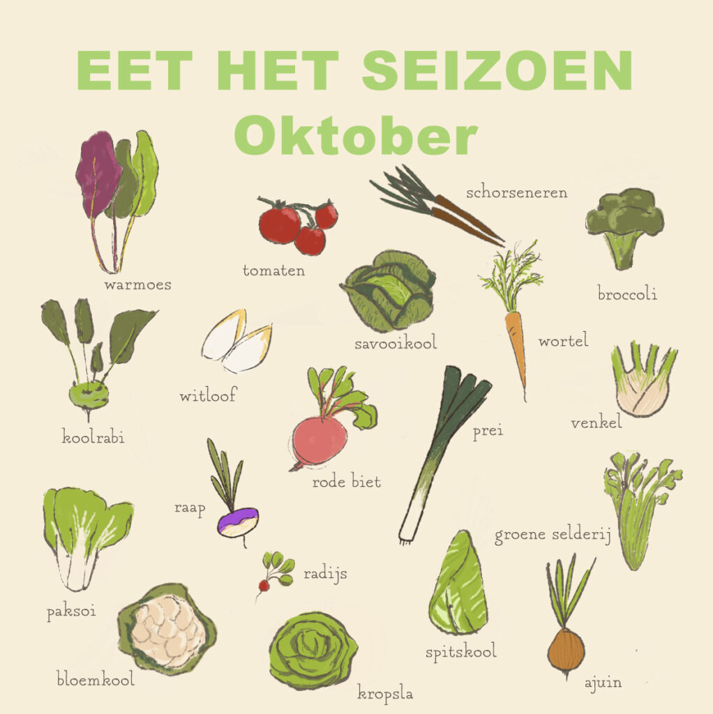 Seizoensgroenten - oktober deel 1