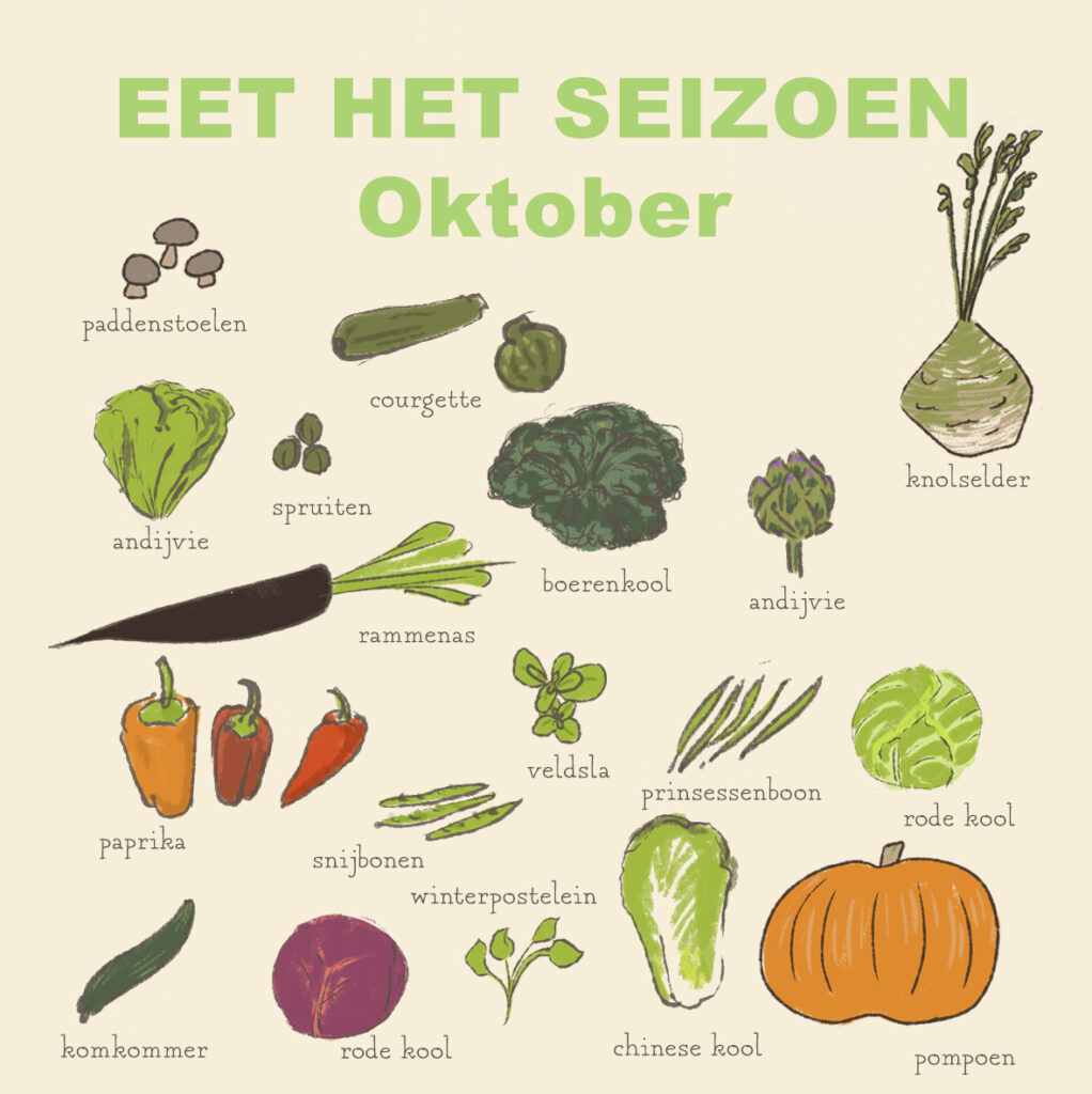 Seizoensgroenten - oktober deel 2