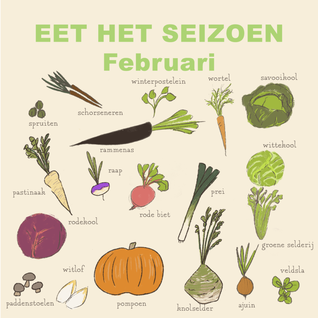 seizoensgroenten - februari