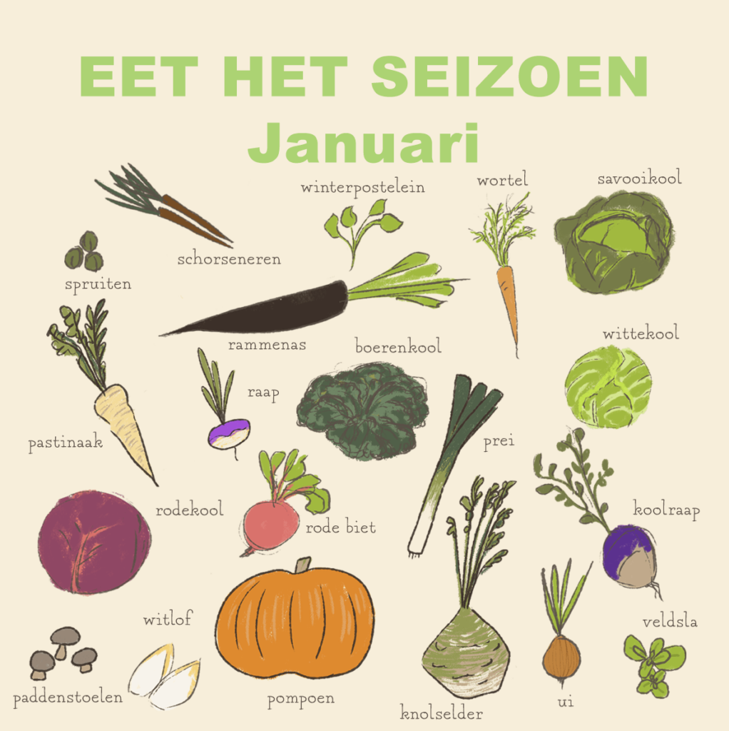 seizoensgroenten - januari