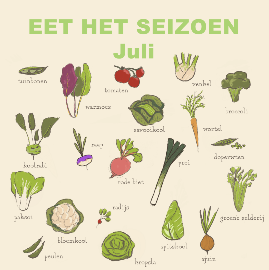 Seizoensgroenten - juli 1